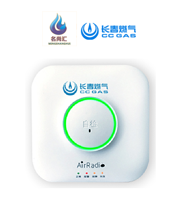 仲博cbin99报警器（自然气）